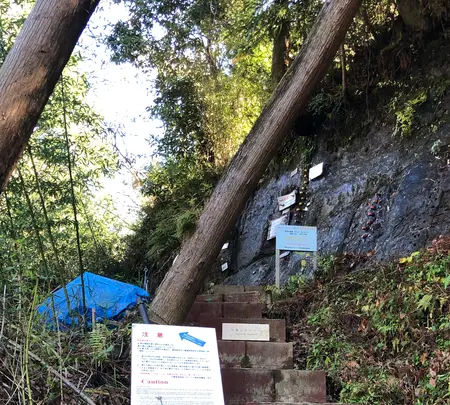 チバニアン 地球磁場逆転地層の写真・動画_image_480361