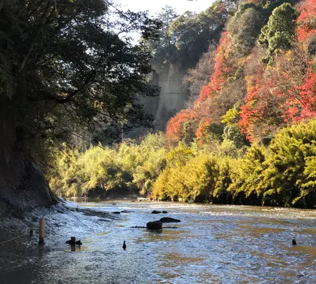 チバニアン 地球磁場逆転地層の写真・動画_image_480362