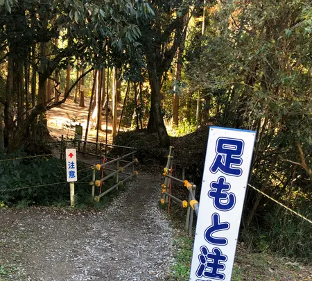 チバニアン 地球磁場逆転地層の写真・動画_image_480363