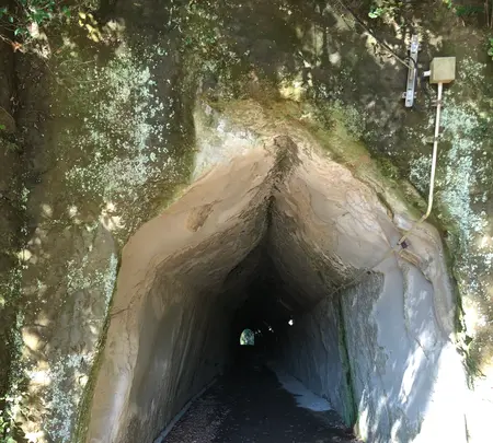 永昌寺トンネルの写真・動画_image_480370