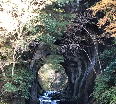 濃溝の滝の写真・動画_image_480386