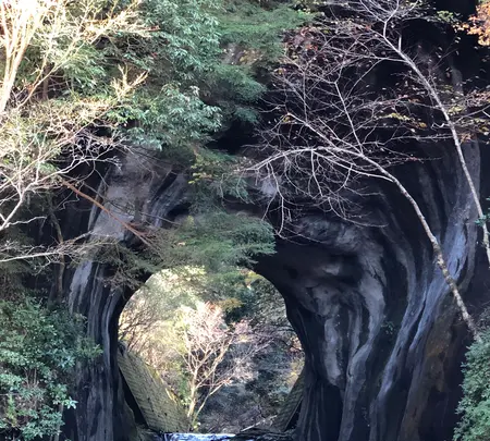 亀岩の洞窟の写真・動画_image_480388