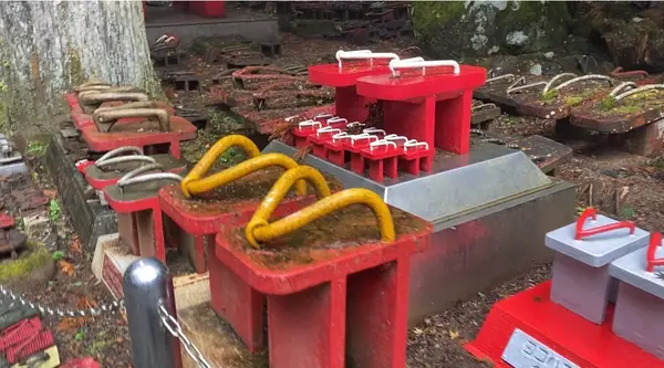大雄山最乗寺の写真・動画_image_480703