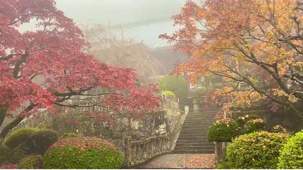 最乗寺本堂の写真・動画_image_480709