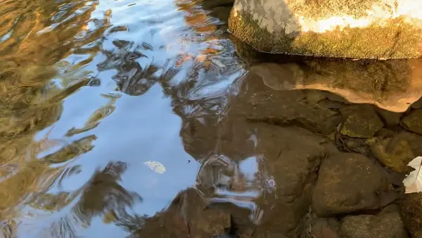 瑞穂ハンザケ自然館の写真・動画_image_480851