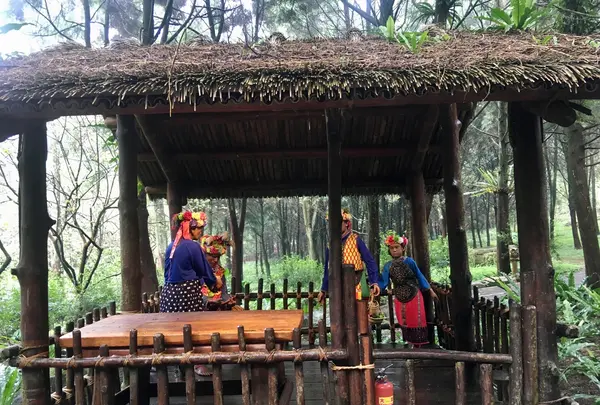 九族文化村の写真・動画_image_480969