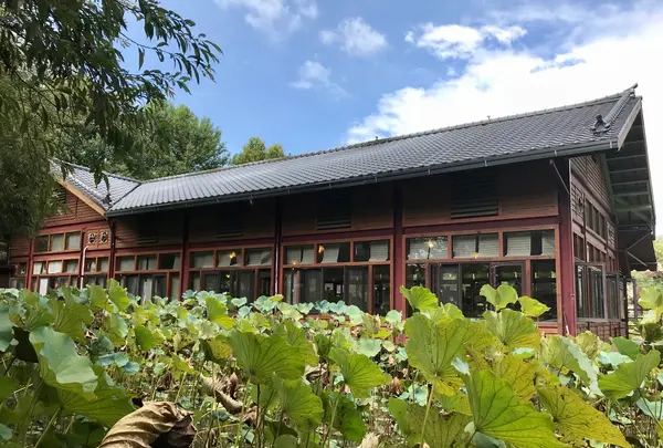 紙教堂の写真・動画_image_480997