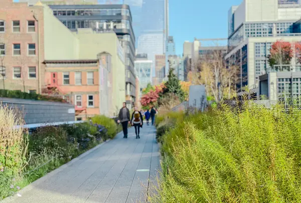 ハイ・ラインの写真・動画_image_481140