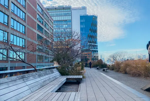 ハイ・ラインの写真・動画_image_481144