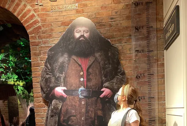 Harry Potter New Yorkの写真・動画_image_481469