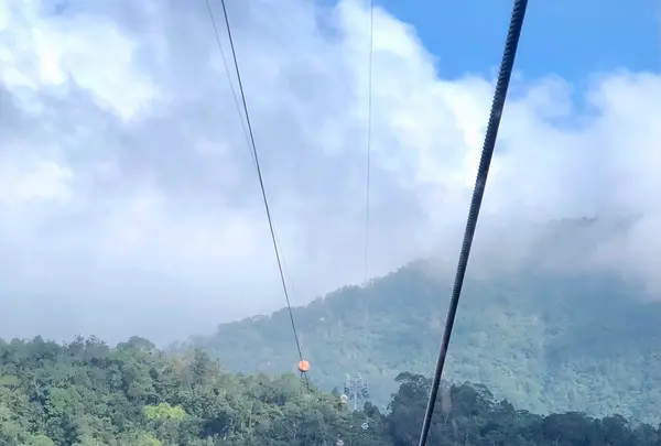 九族文化村の写真・動画_image_481638