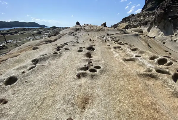 竜串海岸の写真・動画_image_482222