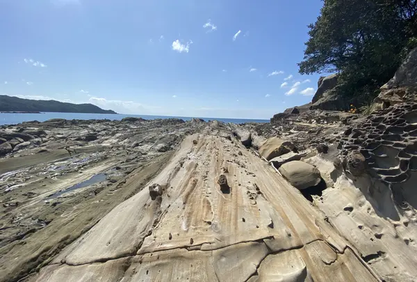 竜串海岸の写真・動画_image_482225