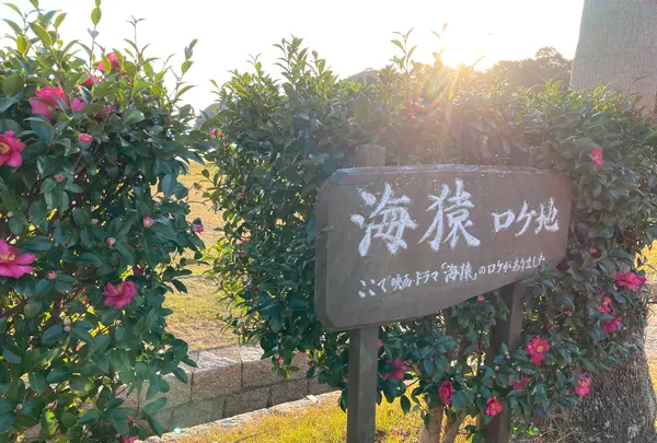 県民の浜の写真・動画_image_482265