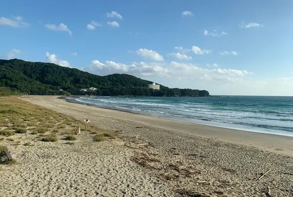 大岐の浜の写真・動画_image_482431