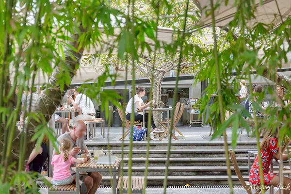 Bodhi Restaurantの写真・動画_image_482477