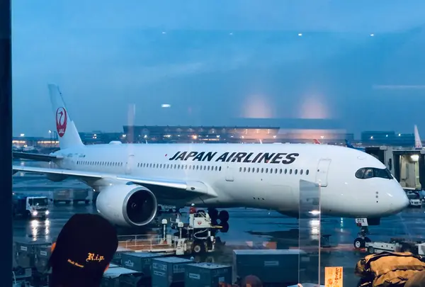 羽田空港第1旅客ターミナルの写真・動画_image_482580