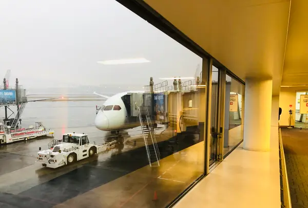 羽田空港第1旅客ターミナルの写真・動画_image_482604