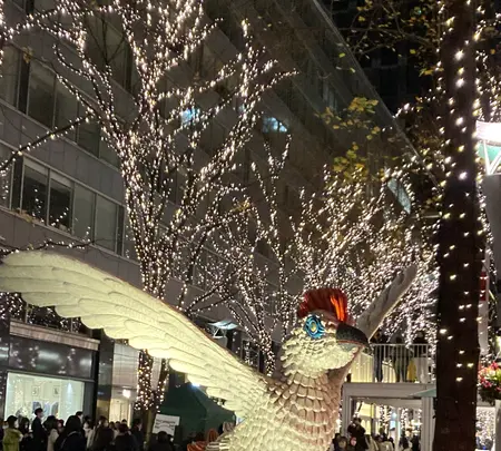 丸の内ストリートパークの写真・動画_image_483294