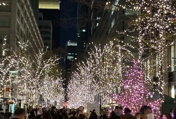 丸の内ストリートパークの写真・動画_image_483296