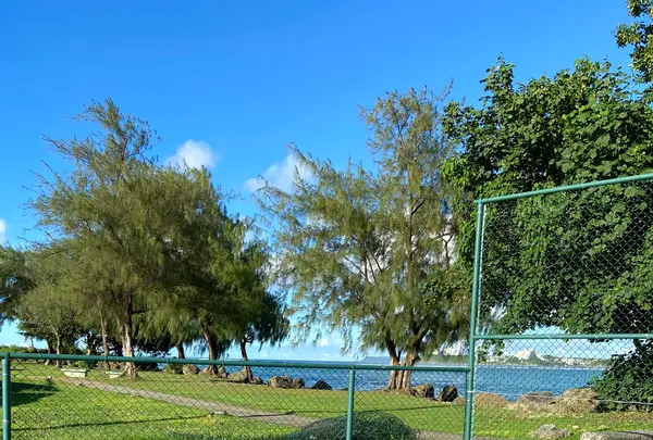 Paseo de Susana Park（パセオ公園）の写真・動画_image_483369
