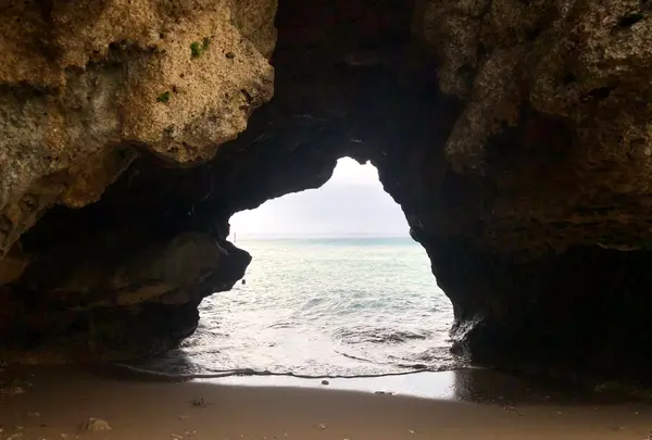 トゥマイグシクの写真・動画_image_483631