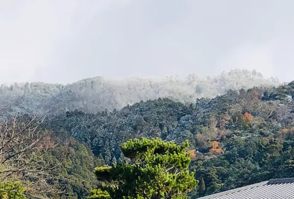 奥丹 南禅寺店の写真・動画_image_484052