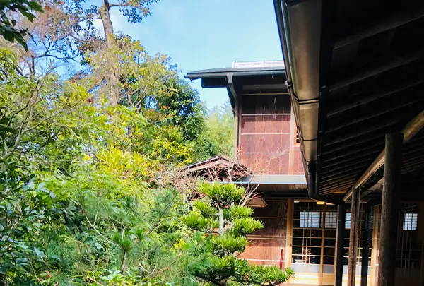 奥丹 南禅寺店の写真・動画_image_484059