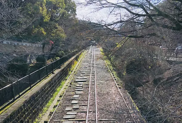 奥丹 南禅寺店の写真・動画_image_484060