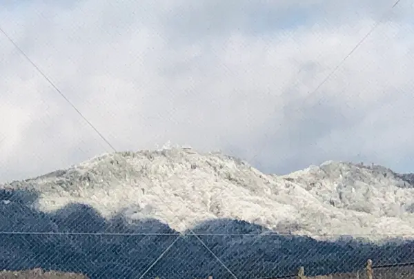 京都市京セラ美術館の写真・動画_image_484061