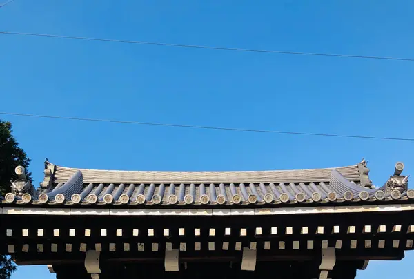 同志社大学 アーモスト館の写真・動画_image_484331