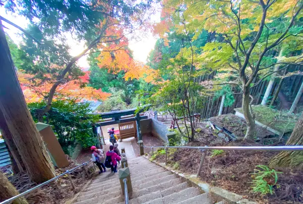 大山阿夫利神社の写真・動画_image_484372