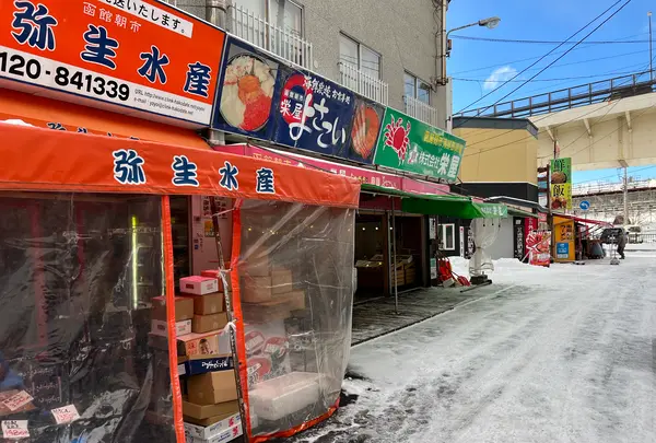 函館朝市の写真・動画_image_484496