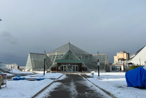 函館市熱帯植物園の写真・動画_image_484654