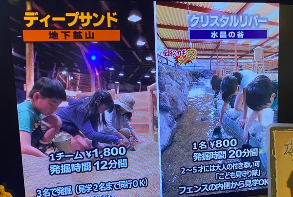 宝石探し トレジャーストーンパークの写真・動画_image_484687