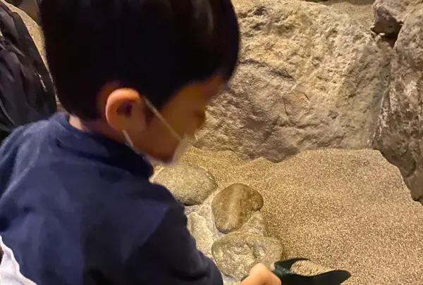 宝石探し トレジャーストーンパークの写真・動画_image_484689