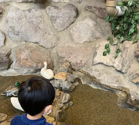 宝石探し トレジャーストーンパークの写真・動画_image_484691