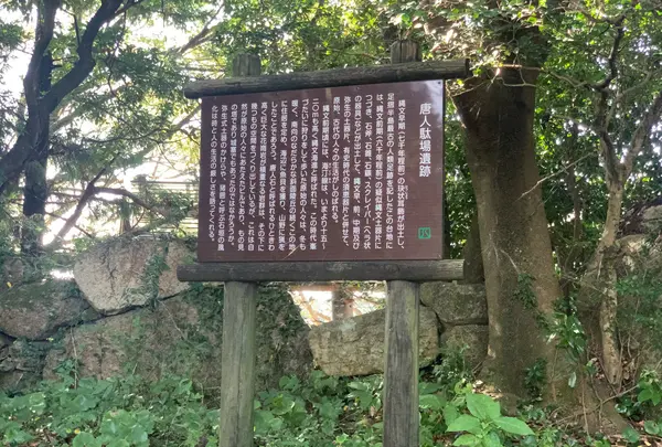 足摺巨石群 唐人駄場遺跡の写真・動画_image_484818