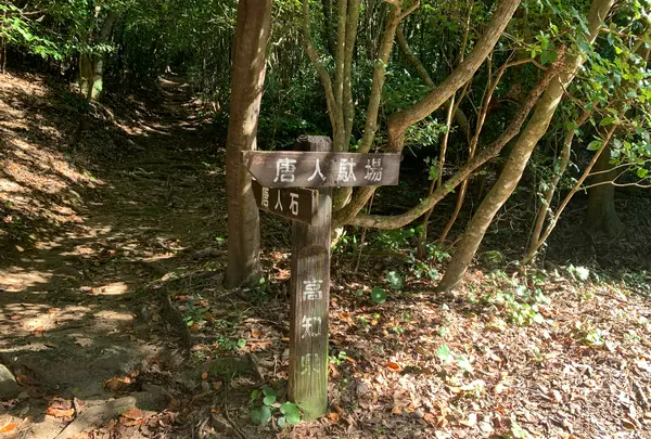 足摺巨石群 唐人駄場遺跡の写真・動画_image_484820