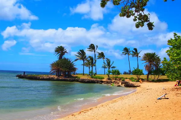 ハレイワ・アリイ・ビーチ・パークの写真・動画_image_484842