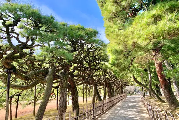 栗林公園の写真・動画_image_484972
