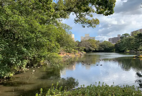 栗林公園の写真・動画_image_484973
