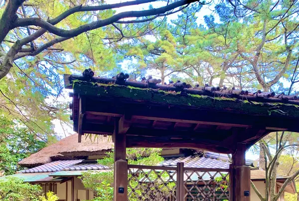 栗林公園の写真・動画_image_484980