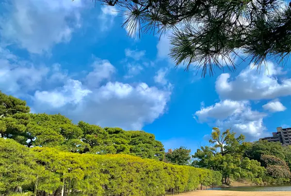 栗林公園の写真・動画_image_484982