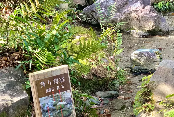 栗林公園の写真・動画_image_484987