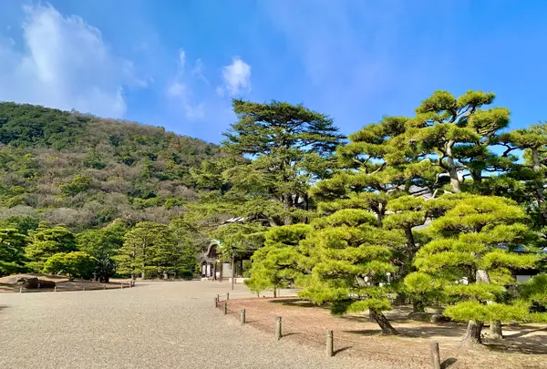栗林公園の写真・動画_image_484989