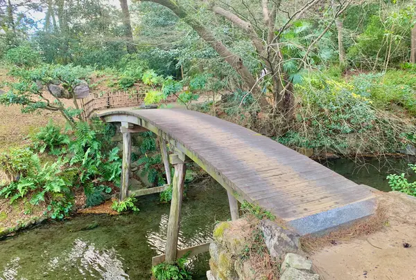 栗林公園の写真・動画_image_484993