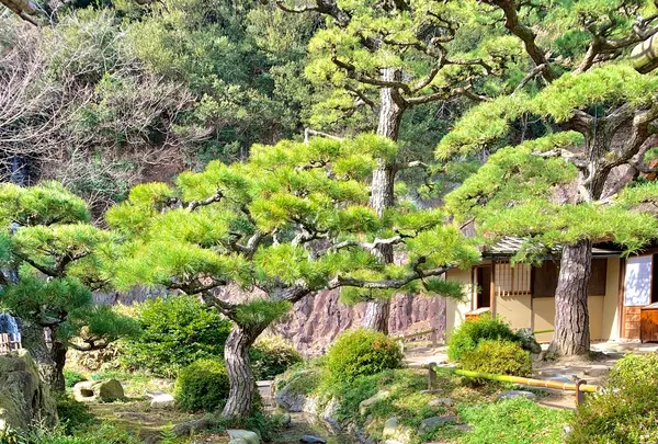 栗林公園の写真・動画_image_484997