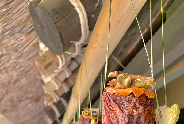 四国村の写真・動画_image_485037