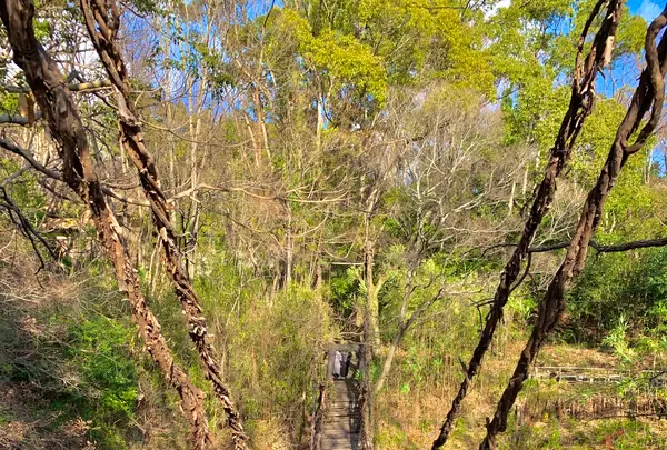 四国村の写真・動画_image_485038